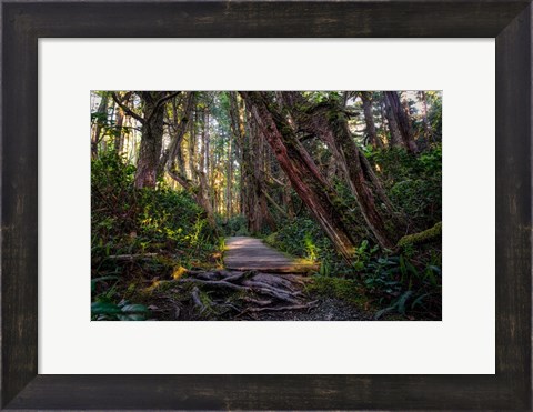 Framed Path Print