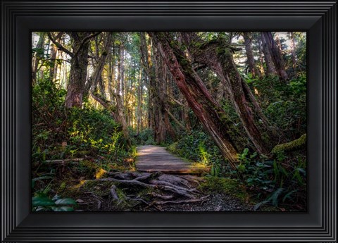 Framed Path Print