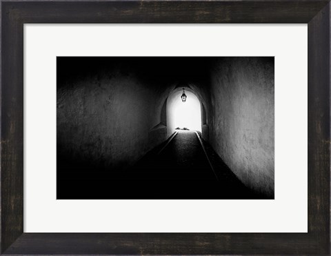 Framed Tunnel Print