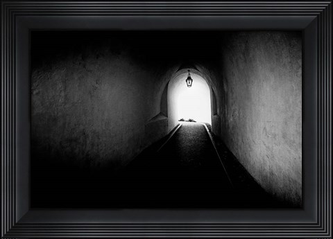 Framed Tunnel Print