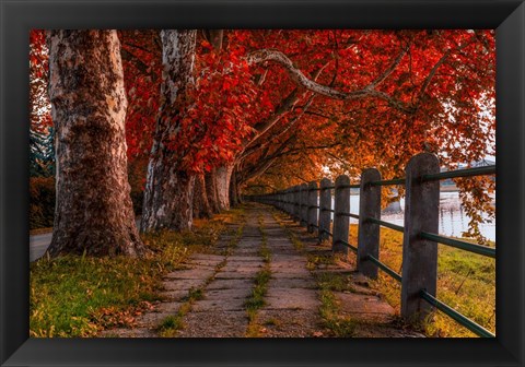 Framed Walk by the River Print