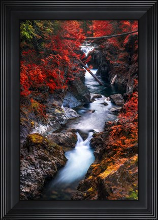 Framed Water in the Fall Print