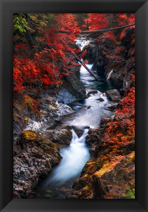 Framed Water in the Fall Print