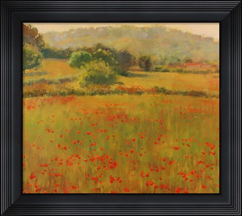 Framed Amapolas III Print