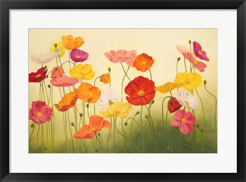 Framed Sunlit Poppies Print