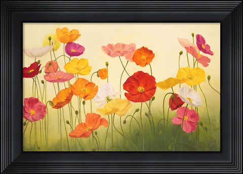 Framed Sunlit Poppies Print