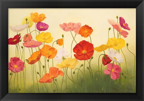 Framed Sunlit Poppies Print