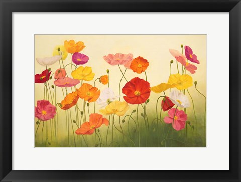 Framed Sunlit Poppies Print