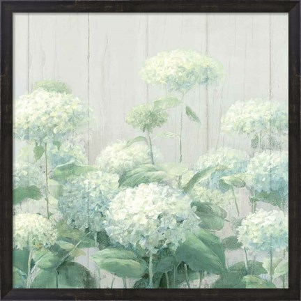 Framed White Hydrangea Garden Sage on Wood Crop Print