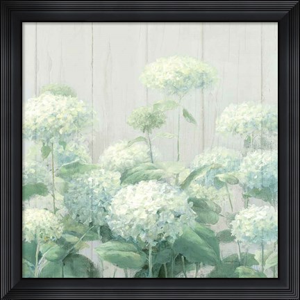 Framed White Hydrangea Garden Sage on Wood Crop Print