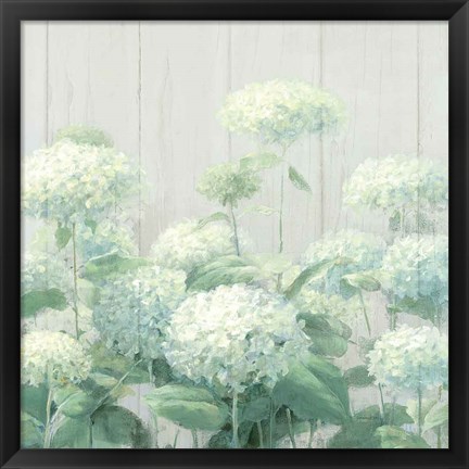 Framed White Hydrangea Garden Sage on Wood Crop Print