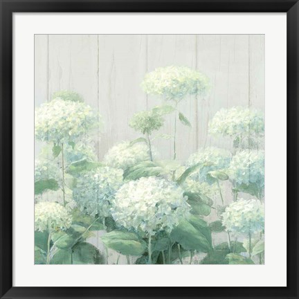 Framed White Hydrangea Garden Sage on Wood Crop Print