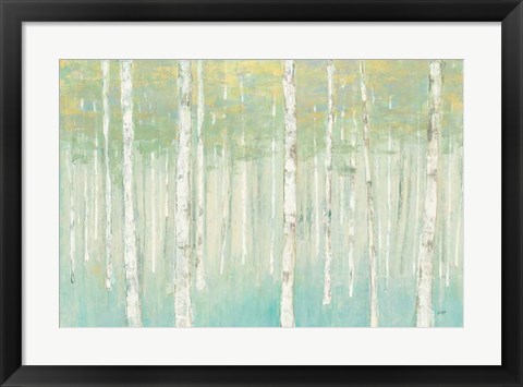 Framed Birches at Sunrise Print