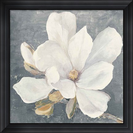 Framed Serene Magnolia Gray Print