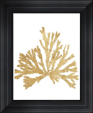 Framed Pacific Sea Mosses IV Gold Print