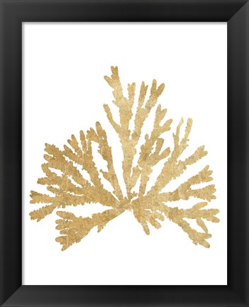 Framed Pacific Sea Mosses IV Gold Print