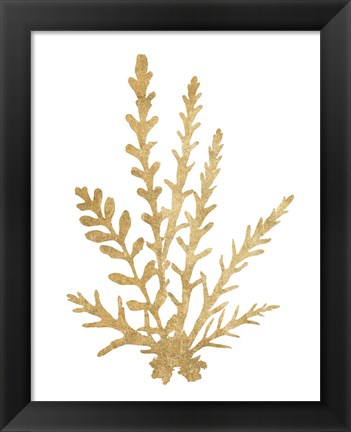 Framed Pacific Sea Mosses III Gold Print