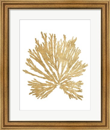 Framed Pacific Sea Mosses II Gold Print