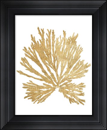 Framed Pacific Sea Mosses II Gold Print