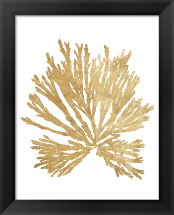 Framed Pacific Sea Mosses II Gold Print