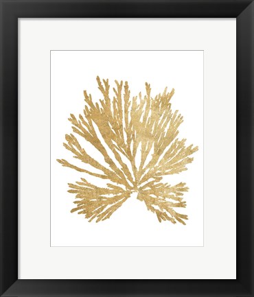 Framed Pacific Sea Mosses II Gold Print