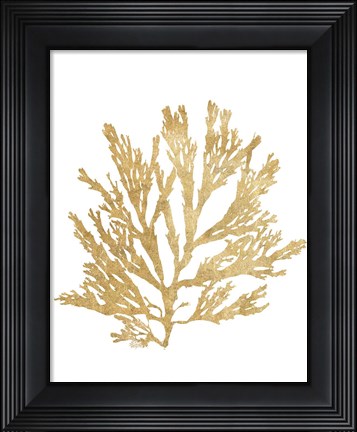 Framed Pacific Sea Mosses I Gold Print