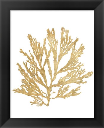 Framed Pacific Sea Mosses I Gold Print