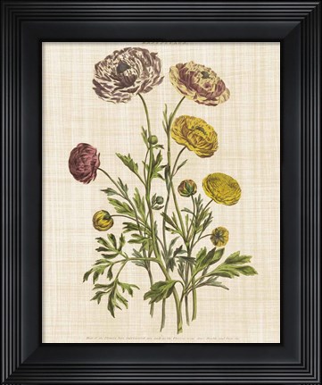 Framed Herbal Botany XXII v2 Linen Crop Print