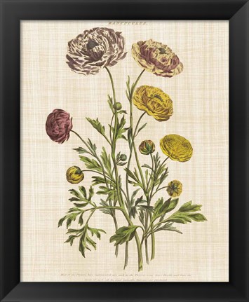 Framed Herbal Botany XXII v2 Linen Crop Print