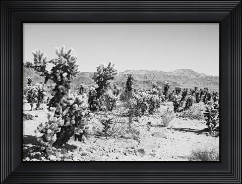 Framed Road Trip III Crop Print