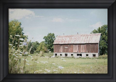 Framed Sun Drenched IV Print