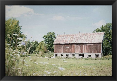 Framed Sun Drenched IV Print