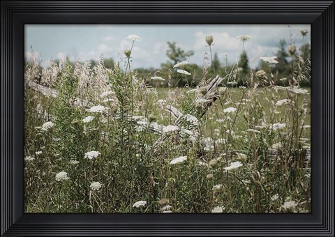 Framed Sun Drenched III Print