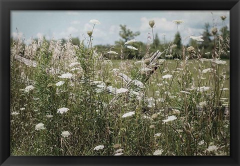 Framed Sun Drenched III Print