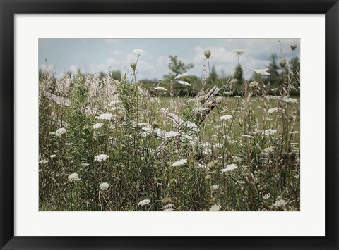 Framed Sun Drenched III Print