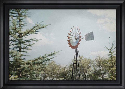 Framed Sun Drenched I Print