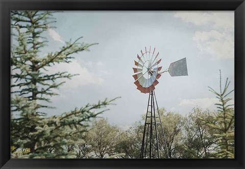 Framed Sun Drenched I Print