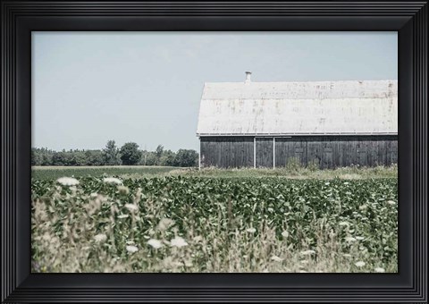 Framed Weathered I Print