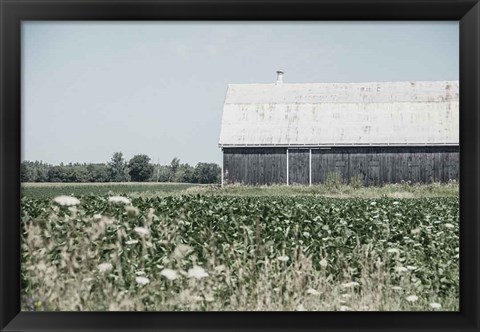 Framed Weathered I Print