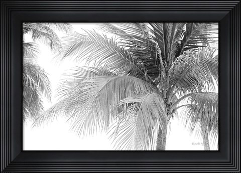Framed Breezy III Print