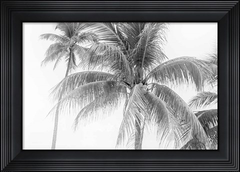 Framed Breezy II Print