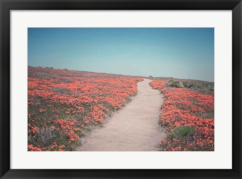 Framed California Blooms IV Print