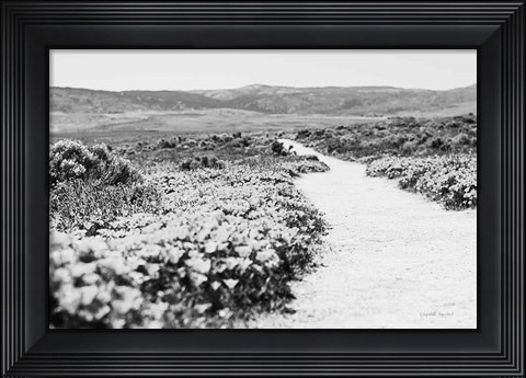 Framed Road Trip VI Print
