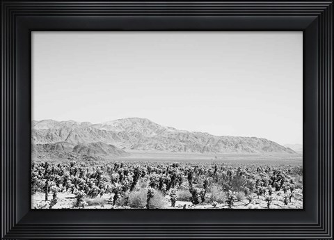 Framed Road Trip IV Print