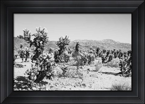 Framed Road Trip III Print