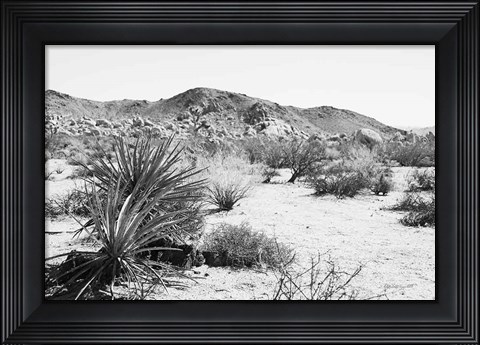 Framed Road Trip II Print