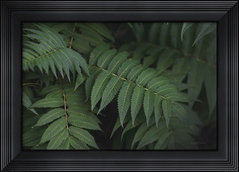 Framed Leafy V Print