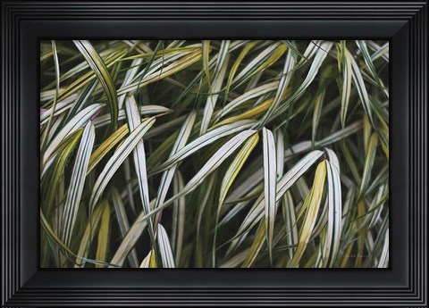Framed Leafy IV Print