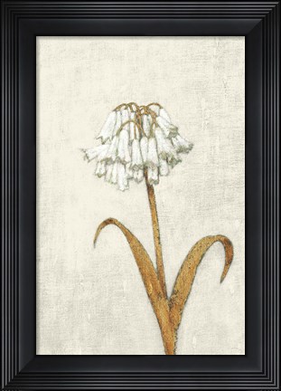 Framed Shimmering Summer II Ivory Print