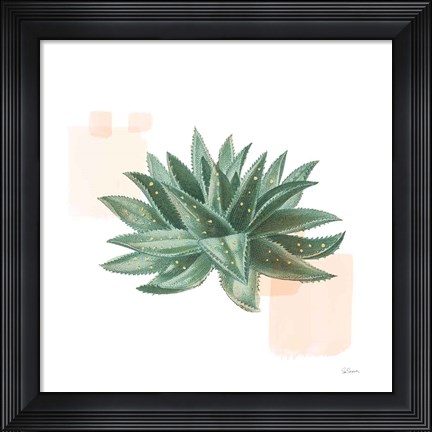 Framed Desert Color Succulent II Print